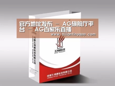 项目名称十三