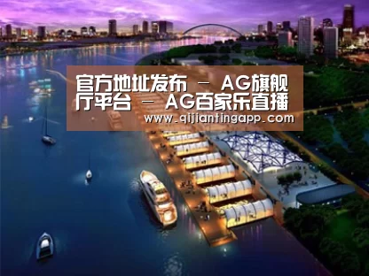 案例展示八