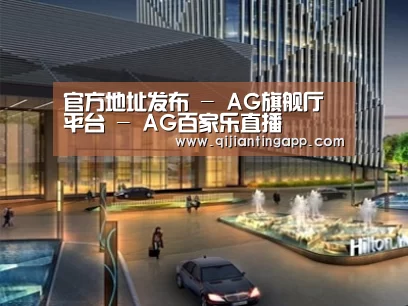 案例展示二