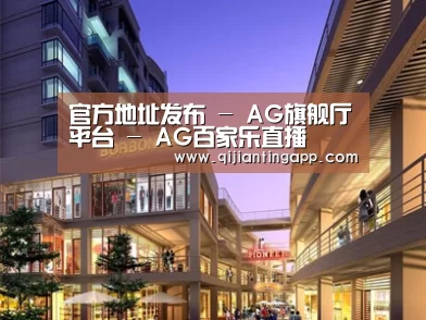案例展示一