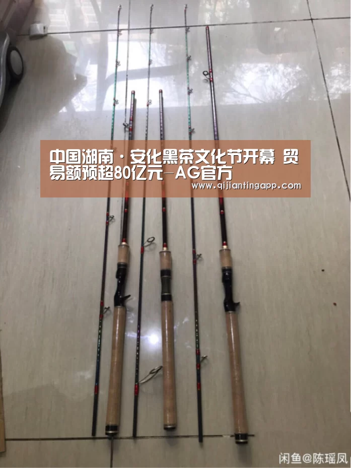 中国湖南·安化黑茶文化节开幕 贸易额预超80亿元-AG官方(图3) AG百家乐