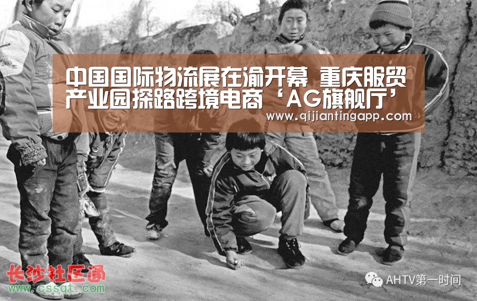 中国国际物流展在渝开幕 重庆服贸产业园探路跨境电商‘AG旗舰厅’(图1) AG官方